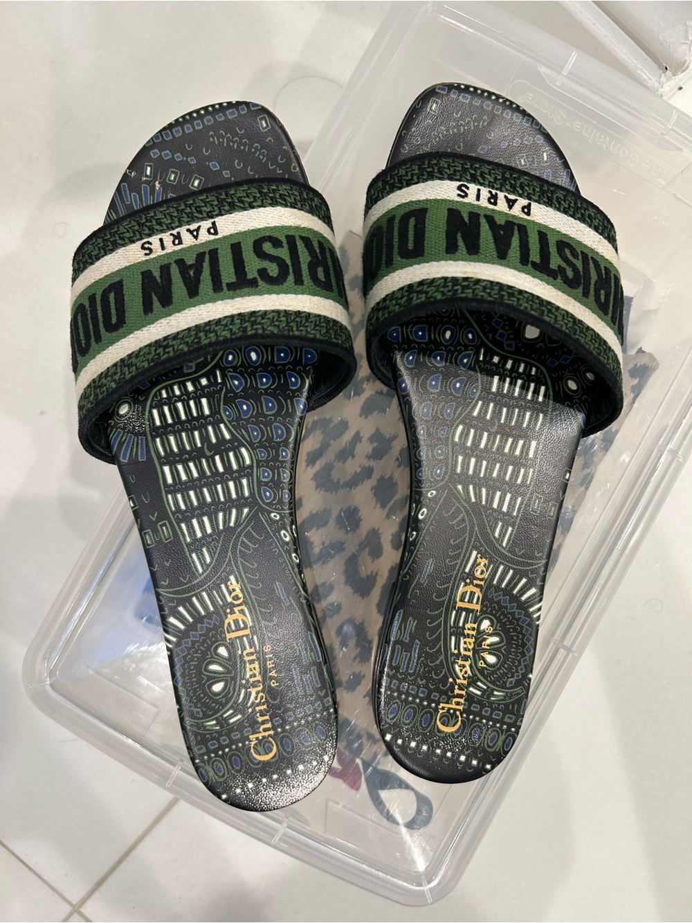 Dior Dway Slide in